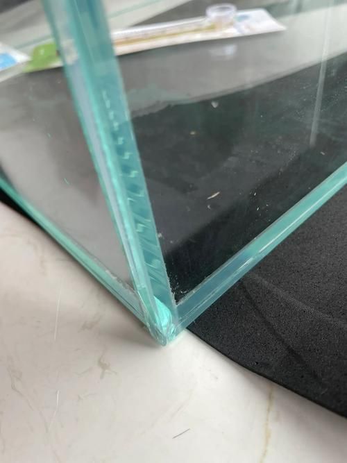 如何判斷龍魚缸的品牌真偽？，————權威鑒別指南