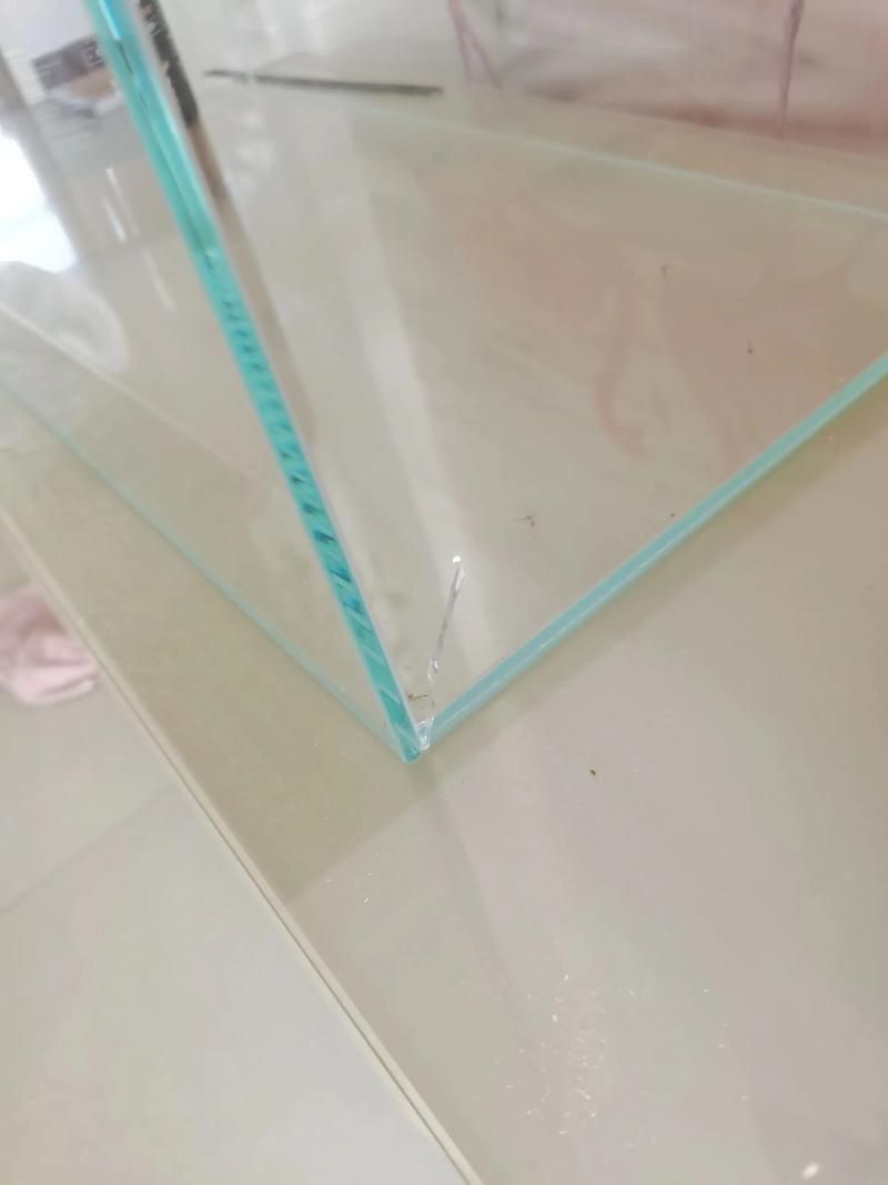 如何判斷龍魚缸的品牌真偽？，————權威鑒別指南