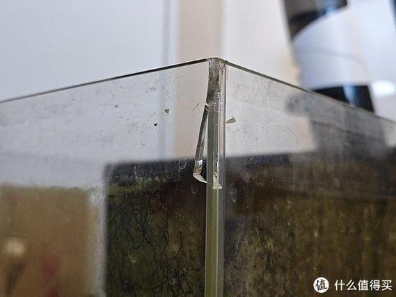 如何判斷龍魚缸的品牌真偽？，————權威鑒別指南