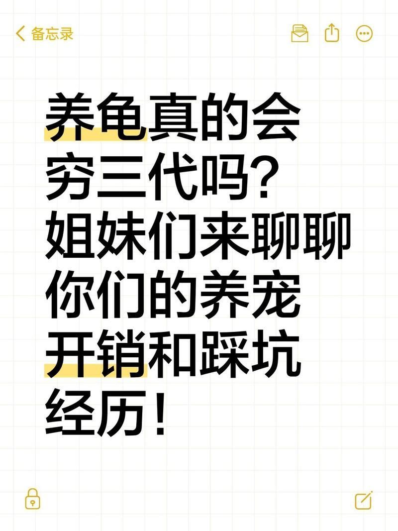 養龜窮三代是否真實，養龜“窮三代”真的會窮三代嗎？ 養龜窮三代是否真實，養龜“窮三代”真的會窮三代嗎？ 龍魚百科 第2張