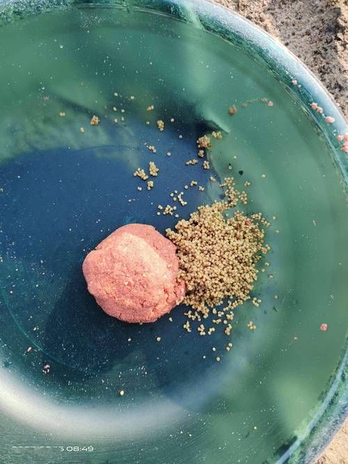 如何制作新鮮餌料，北京釣魚餌料制作新鮮餌料制作方案（1000字+實拍圖解） 如何制作新鮮餌料，北京釣魚餌料制作新鮮餌料制作方案（1000字+實拍圖解） 龍魚百科 第6張