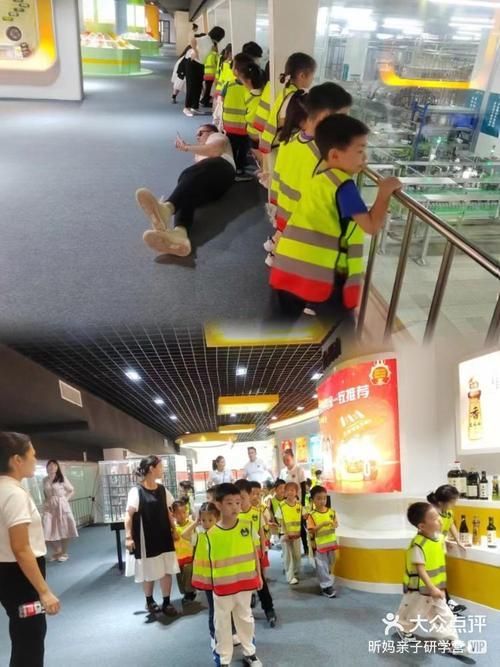 金龍魚基地有哪些特色活動，金龍魚基地會定期開放親子研學親子研學活動的特色活動