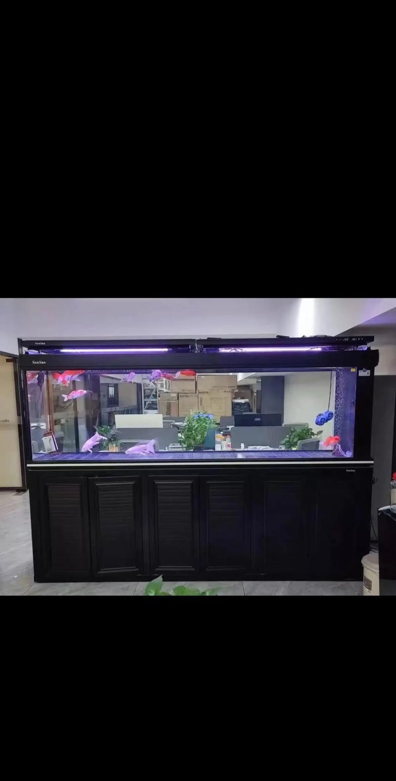 森森龍魚缸哪個系列最好？，“森森龍”的“水族世界”系列和hlh系列哪個值得購買