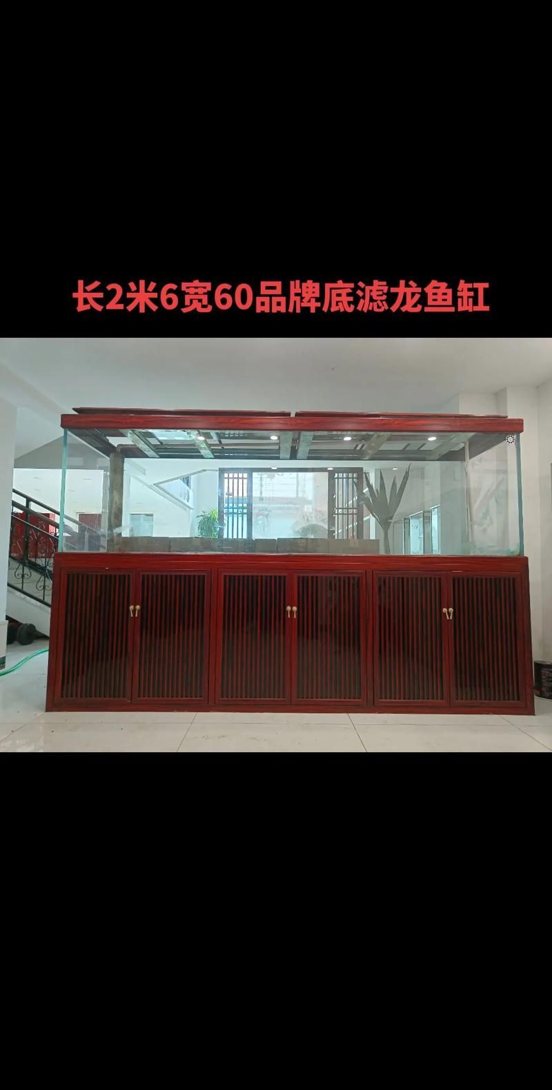 龍魚缸的長度如何選擇？，養龍魚，魚缸長度的選擇