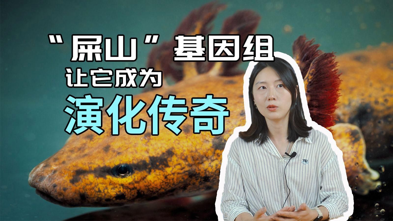 蠑螈和大鯢哪個(gè)更古老，蠑螈和大鯢哪個(gè)更古老？