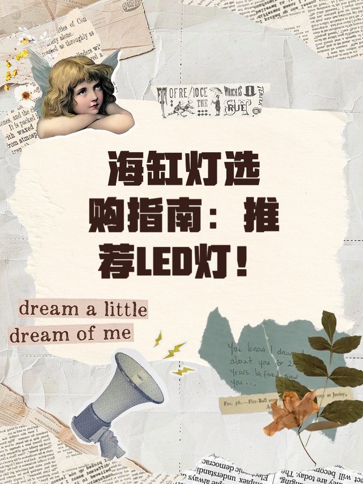 T5T8燈管和LED水族燈哪個更好？，t5/t5/t8燈管及led水族燈型號對比