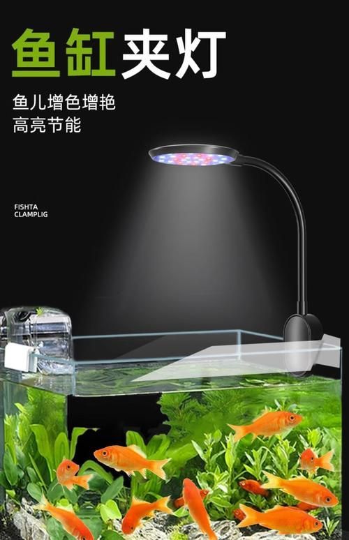 T5T8燈管和LED水族燈哪個更好？，t5/t5/t8燈管及led水族燈型號對比