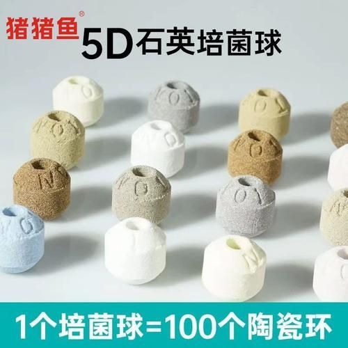 龍魚魚缸濾材推薦，養龍魚，水質是關鍵，而濾材就是維系水質的核心
