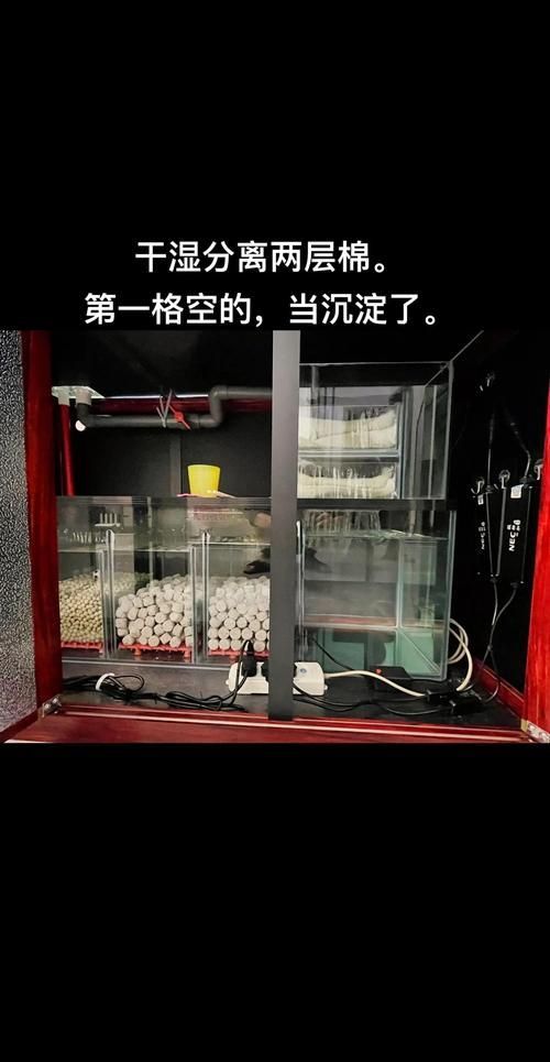 龍魚魚缸濾材推薦，養龍魚，水質是關鍵，而濾材就是維系水質的核心