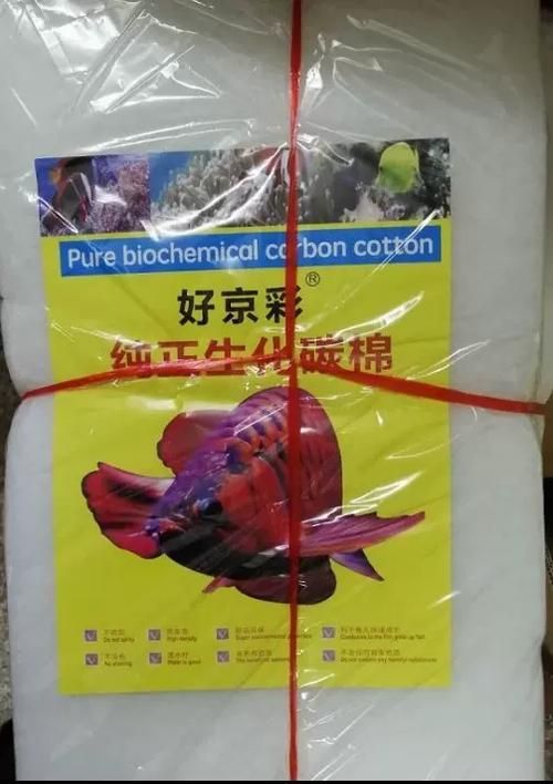 龍魚魚缸濾材推薦，養龍魚，水質是關鍵，而濾材就是維系水質的核心