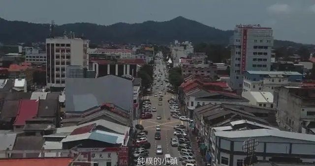 非金龍魚品牌的祥龍魚場有哪些，金龍魚品牌的祥龍魚場 非金龍魚品牌的祥龍魚場有哪些，金龍魚品牌的祥龍魚場 龍魚百科 第2張