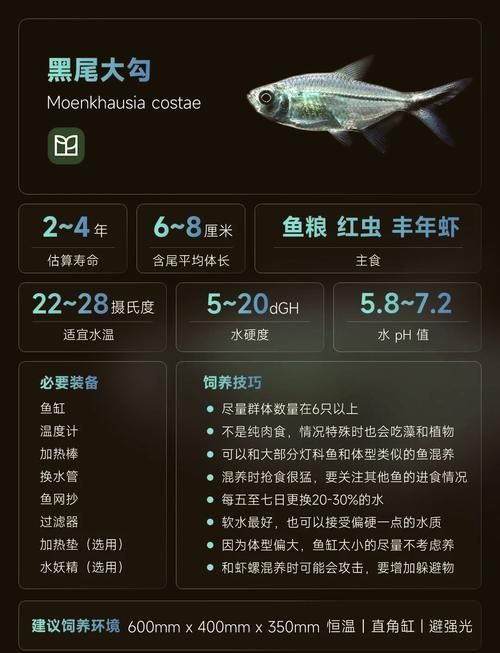 龍魚攻擊黑尾大勾后如何處理？，用戶要求詳解龍魚攻擊黑尾大勾后如何處理，需提供1000字左右的詳細(xì)說明并配圖