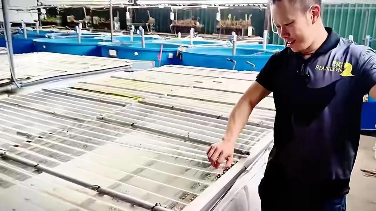 印尼大湖漁場產業聯盟有哪些合作伙伴?,印尼大湖hulu漁場產業聯盟 龍魚百科 第4張 印尼大湖漁場產業聯盟有哪些合作伙伴?,印尼大湖hulu漁場產業聯盟 印尼大湖漁場產業聯盟有哪些合作伙伴?,印尼大湖hulu漁場產業聯盟 龍魚百科 第4張