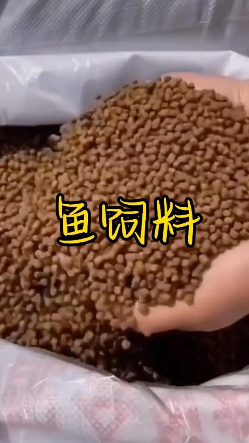如何判斷龍魚顆粒飼料的沉浮性？，如何判斷龍魚顆粒飼料沉浮性