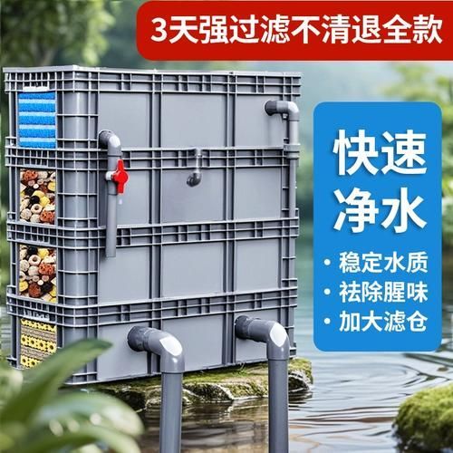 祥龍魚場過濾系統有哪些品牌推薦？，西安祥龍魚場過濾系統養殖環境設計的高性價比選擇 祥龍魚場過濾系統有哪些品牌推薦？，西安祥龍魚場過濾系統養殖環境設計的高性價比選擇 龍魚百科 第5張