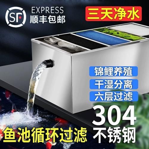 祥龍魚場過濾系統有哪些品牌推薦？，西安祥龍魚場過濾系統養殖環境設計的高性價比選擇 祥龍魚場過濾系統有哪些品牌推薦？，西安祥龍魚場過濾系統養殖環境設計的高性價比選擇 龍魚百科 第4張