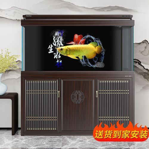 標準龍魚缸尺寸有哪些品牌推薦？，養龍魚