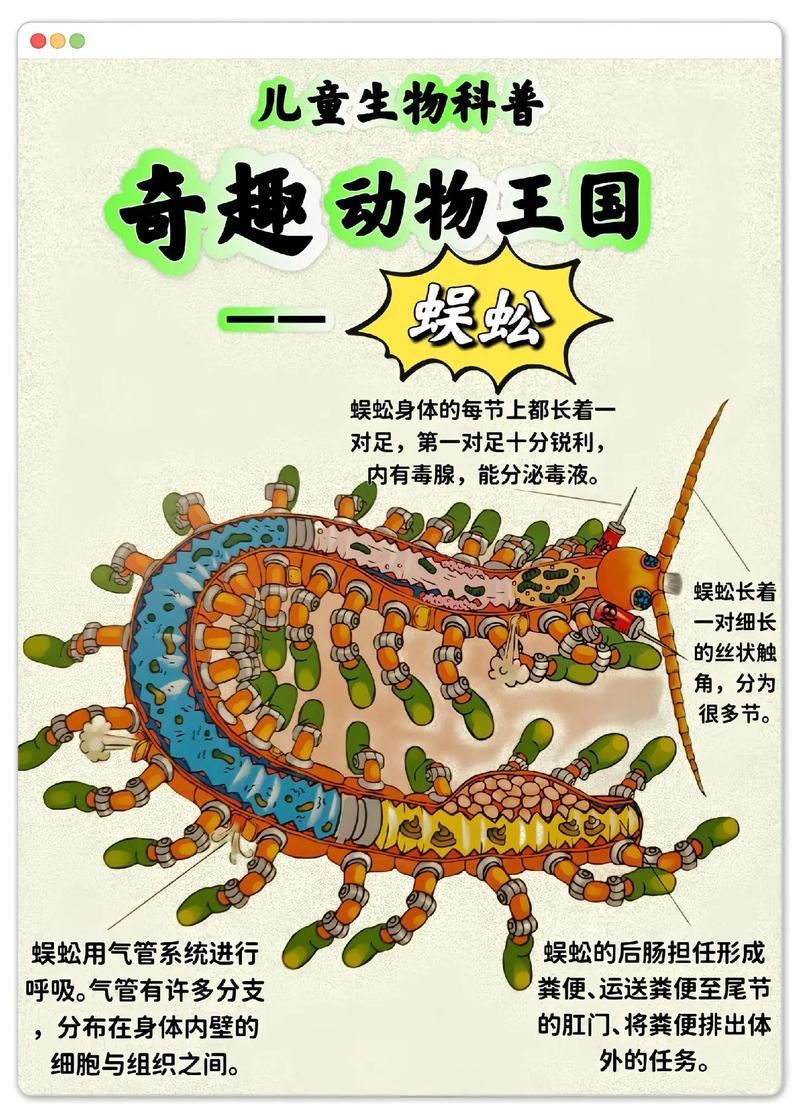 如何判斷蜈?是否安全投喂，arxiv論文助手判斷蜈蚣是否安全投喂 如何判斷蜈?是否安全投喂，arxiv論文助手判斷蜈蚣是否安全投喂 龍魚百科 第3張