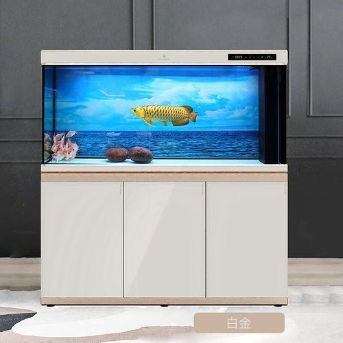 可麗愛魚缸，可麗愛水族箱水族箱 可麗愛魚缸，可麗愛水族箱水族箱 龍魚百科 第3張