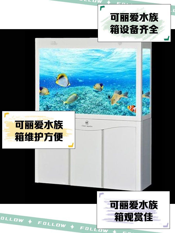 可麗愛魚缸，可麗愛水族箱水族箱 可麗愛魚缸，可麗愛水族箱水族箱 龍魚百科 第5張