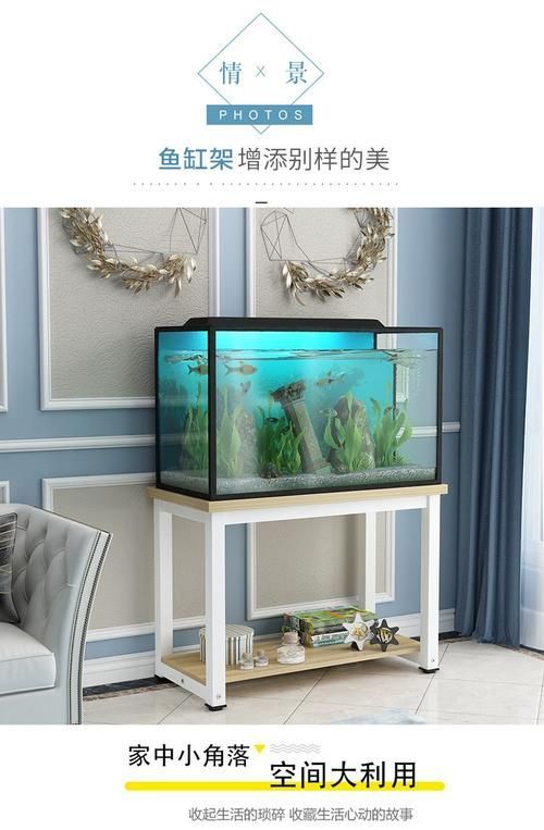 如何判斷龍魚缸的質量好壞,判斷龍魚缸的質量好壞,關鍵在于結構安全、材質可靠 龍魚百科 第8張 如何判斷龍魚缸的質量好壞,判斷龍魚缸的質量好壞,關鍵在于結構安全、材質可靠 如何判斷龍魚缸的質量好壞,判斷龍魚缸的質量好壞,關鍵在于結構安全、材質可靠 龍魚百科 第8張