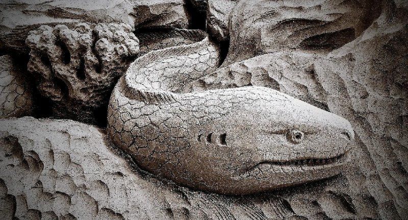 電鰻放電時為何不會自傷？，電鰻為何不會電到自己