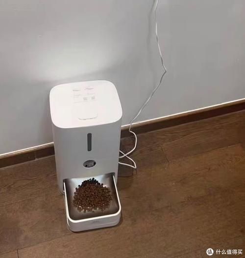有哪些自動喂食器推薦，寵物喂食器推薦
