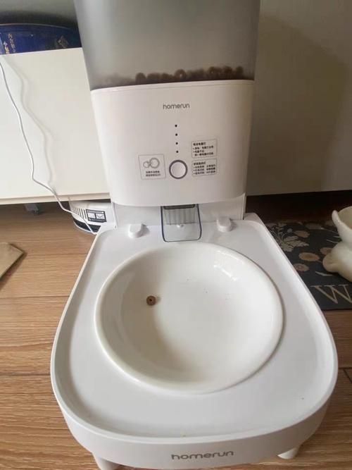 有哪些自動喂食器推薦，寵物喂食器推薦