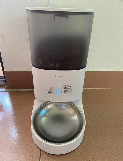 有哪些自動喂食器推薦，寵物喂食器推薦