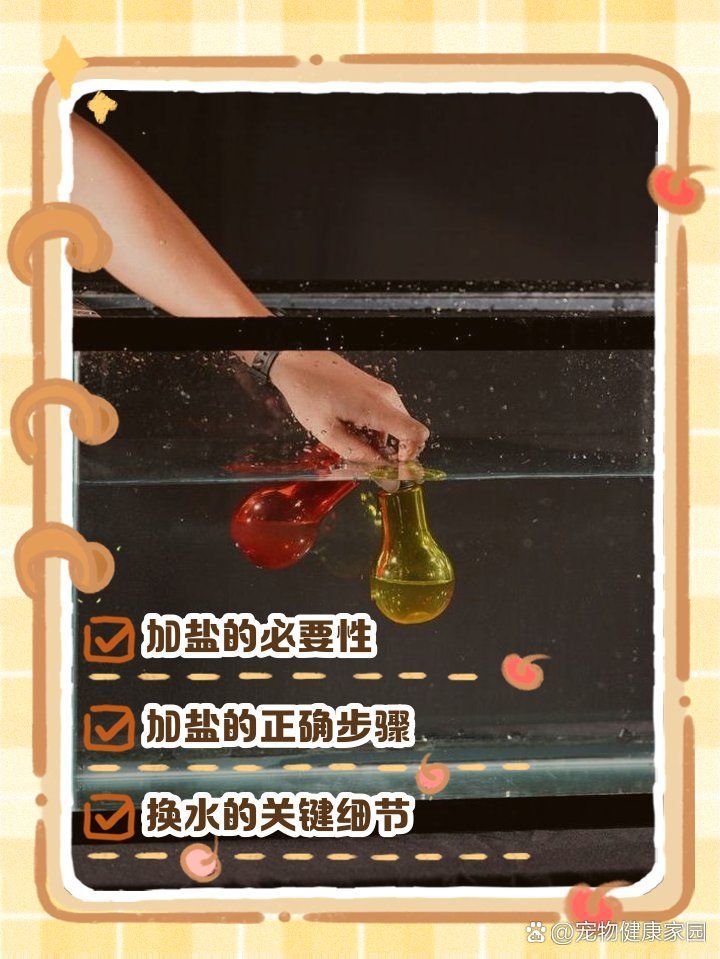 感染龍魚如何治療，魚缸加鹽比例指南寵物健康家園魚缸加鹽比例指南