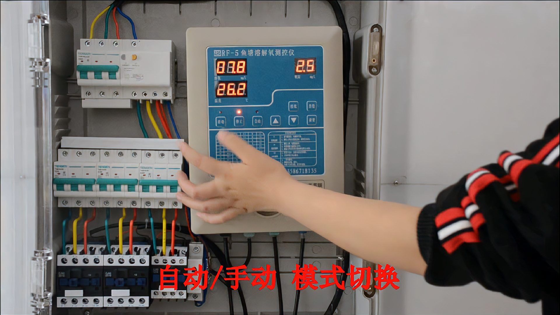 魚塘紅斑病如何預防，魚塘紅斑病的預防 魚塘紅斑病如何預防，魚塘紅斑病的預防 龍魚百科