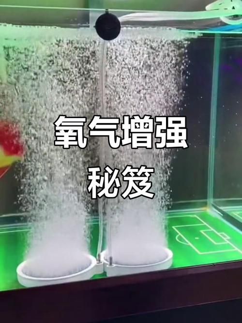 如何預防龍魚浮頭和沉尾，龍魚浮頭與沉尾的成因與預防措施 如何預防龍魚浮頭和沉尾，龍魚浮頭與沉尾的成因與預防措施 龍魚百科 第2張