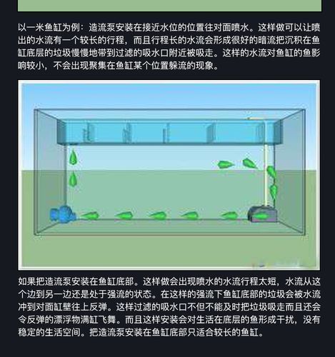 如何預防龍魚浮頭和沉尾，龍魚浮頭與沉尾的成因與預防措施 如何預防龍魚浮頭和沉尾，龍魚浮頭與沉尾的成因與預防措施 龍魚百科 第10張