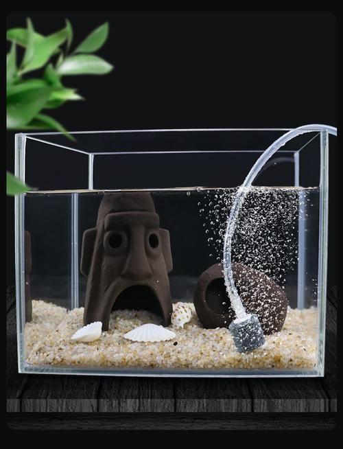 如何預防龍魚浮頭和沉尾，龍魚浮頭與沉尾的成因與預防措施 如何預防龍魚浮頭和沉尾，龍魚浮頭與沉尾的成因與預防措施 龍魚百科 第6張