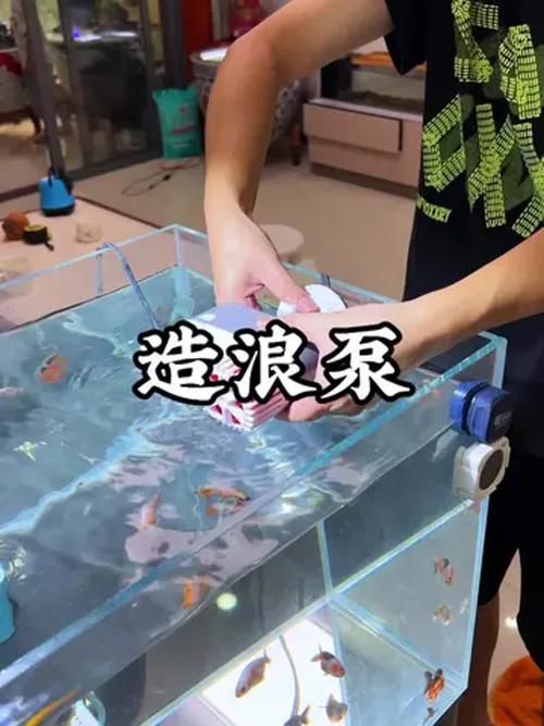 如何預防龍魚浮頭和沉尾，龍魚浮頭與沉尾的成因與預防措施 如何預防龍魚浮頭和沉尾，龍魚浮頭與沉尾的成因與預防措施 龍魚百科 第11張