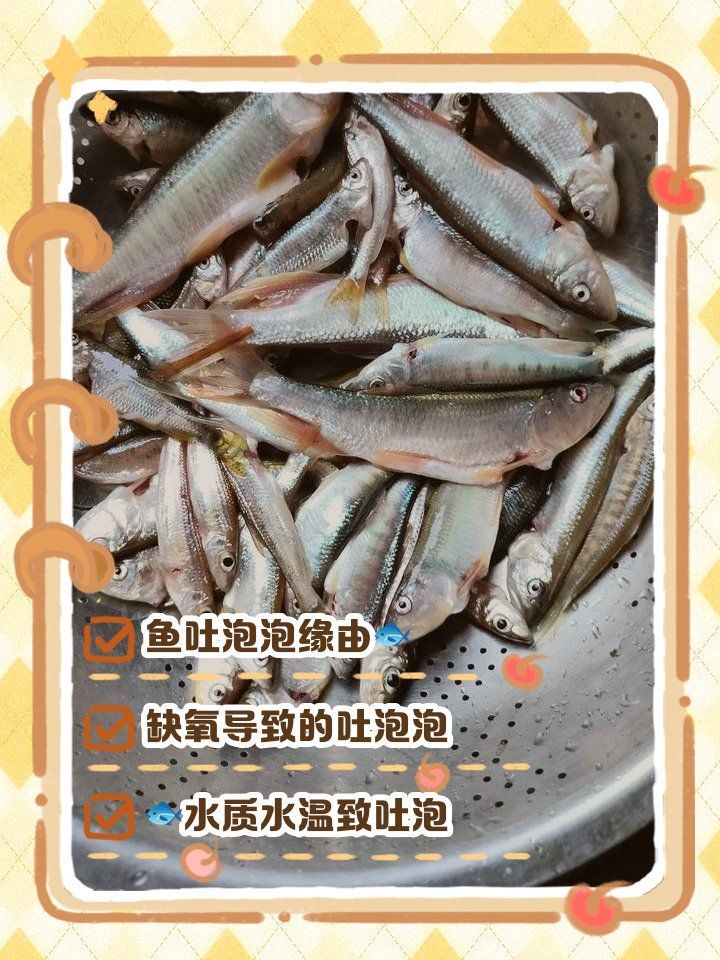 如何預防龍魚浮頭和沉尾，龍魚浮頭與沉尾的成因與預防措施 如何預防龍魚浮頭和沉尾，龍魚浮頭與沉尾的成因與預防措施 龍魚百科 第13張