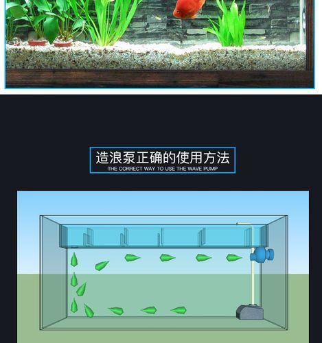 如何預防龍魚浮頭和沉尾，龍魚浮頭與沉尾的成因與預防措施 如何預防龍魚浮頭和沉尾，龍魚浮頭與沉尾的成因與預防措施 龍魚百科 第9張
