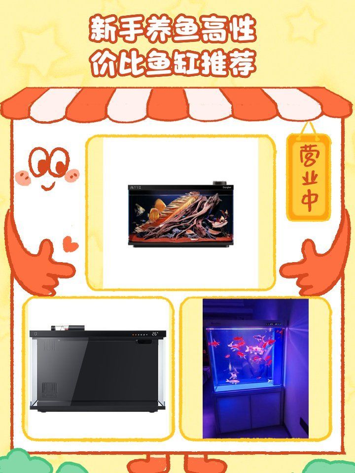 這些魚缸中哪款性價比最高？，家庭魚缸選擇