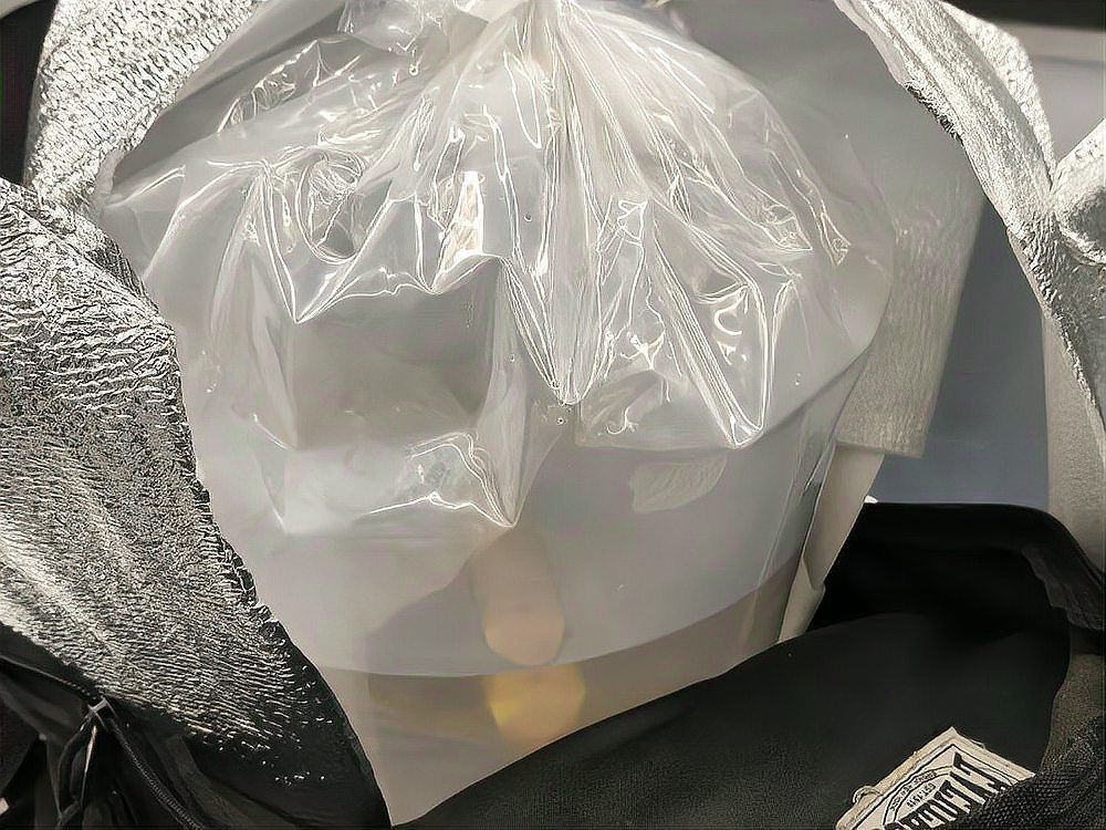 過背金龍魚的投資風險有哪些？，——資深魚友經(jīng)驗總結：過背金龍魚投資風險