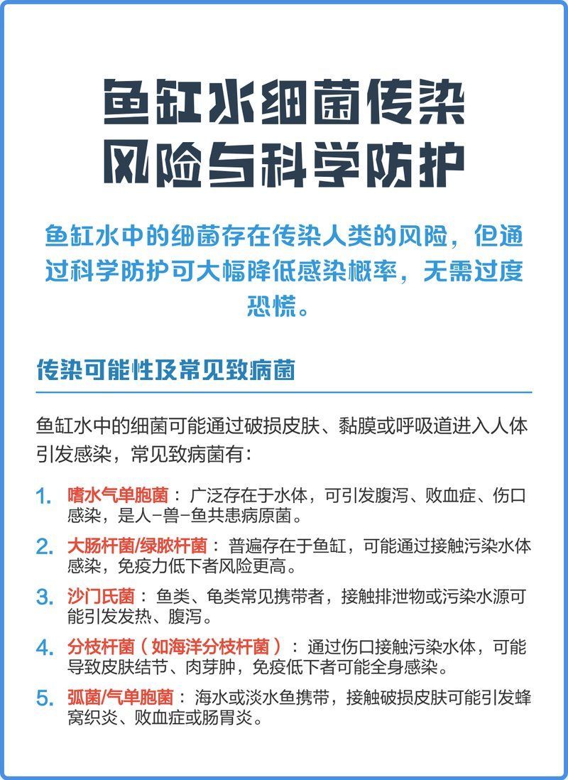 魚缸細菌傳染人有癥狀嗎，魚缸中的細菌會傳染給人嗎？ 魚缸細菌傳染人有癥狀嗎，魚缸中的細菌會傳染給人嗎？ 龍魚百科 第2張
