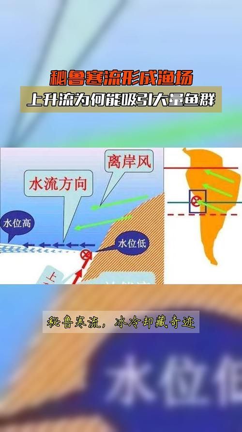 四大品牌中哪個漁場產量最高？，世界四大漁場產量對比