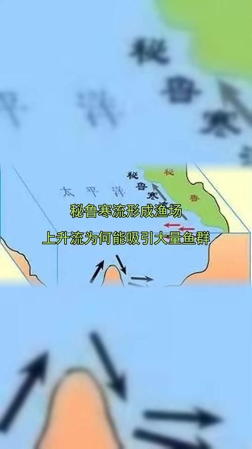 四大品牌中哪個漁場產量最高？，世界四大漁場產量對比
