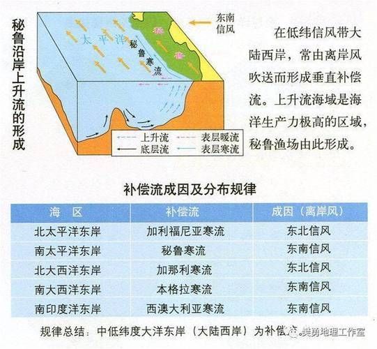 四大品牌中哪個漁場產量最高？，世界四大漁場產量對比