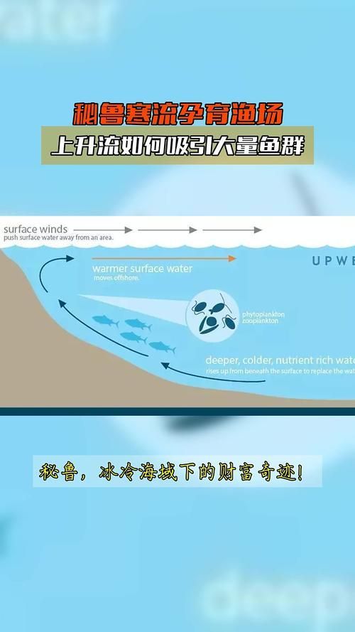 四大品牌中哪個漁場產量最高？，世界四大漁場產量對比