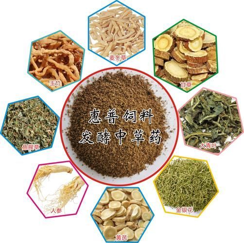 如何提升魚體自身抵抗力，——益生菌水產(chǎn)養(yǎng)殖中的益生菌水產(chǎn)養(yǎng)殖 如何提升魚體自身抵抗力，——益生菌水產(chǎn)養(yǎng)殖中的益生菌水產(chǎn)養(yǎng)殖 龍魚百科 第6張