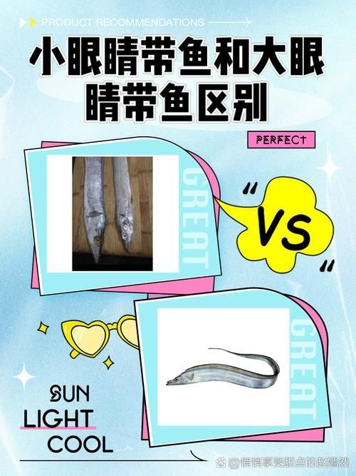 如何判斷觀賞魚是否患突眼病，exophthalmia觀賞魚突眼?。╡xophthalmia） 如何判斷觀賞魚是否患突眼病，exophthalmia觀賞魚突眼病（exophthalmia） 龍魚百科 第6張