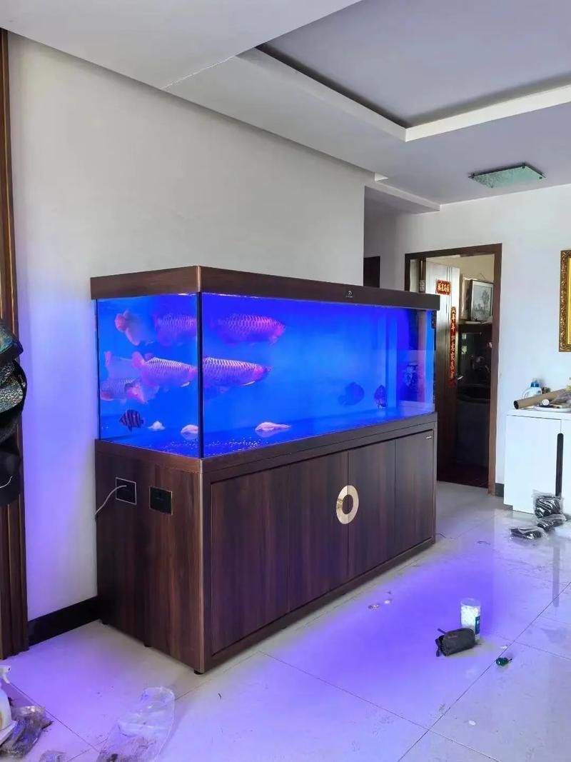 有哪些知名的高端龍魚缸品牌？，知名的高端龍魚缸品牌