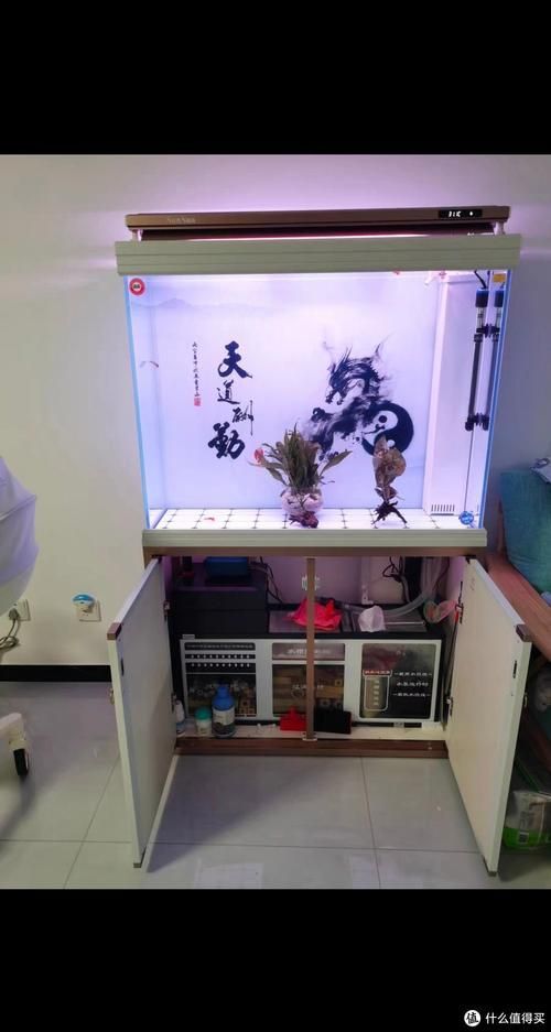 有哪些知名的高端龍魚缸品牌？，知名的高端龍魚缸品牌