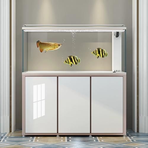 有哪些知名的高端龍魚缸品牌？，知名的高端龍魚缸品牌