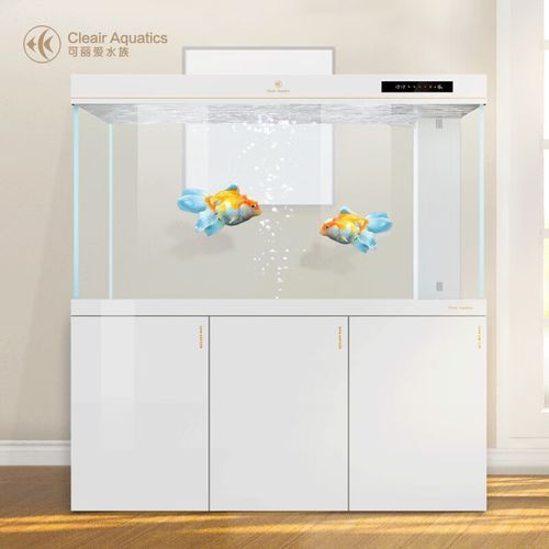 可麗愛CAG系列有哪些型號?,可麗愛cag系列的主要型號 龍魚百科 第4張 可麗愛CAG系列有哪些型號?,可麗愛cag系列的主要型號 可麗愛CAG系列有哪些型號?,可麗愛cag系列的主要型號 龍魚百科 第4張